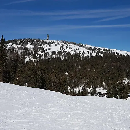 Enjoy Feldberg Grafenmatt Apartment *