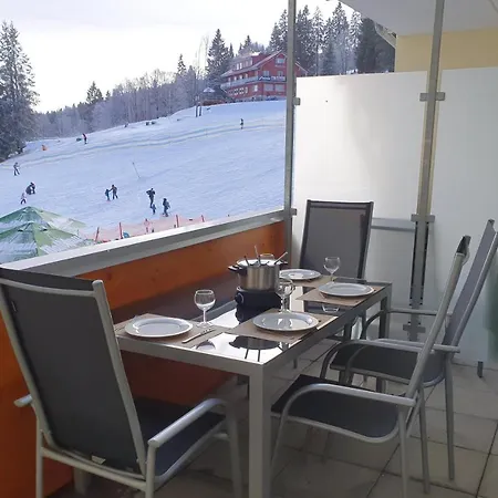 Enjoy Grafenmatt Appartement Feldberg (Baden-Wurttemberg)